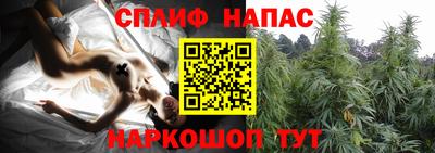 спайс Будённовск