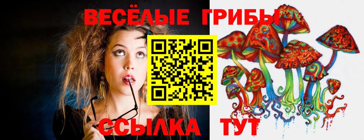 Галлюциногенные грибы мицелий  Вход с VPN  Печора 