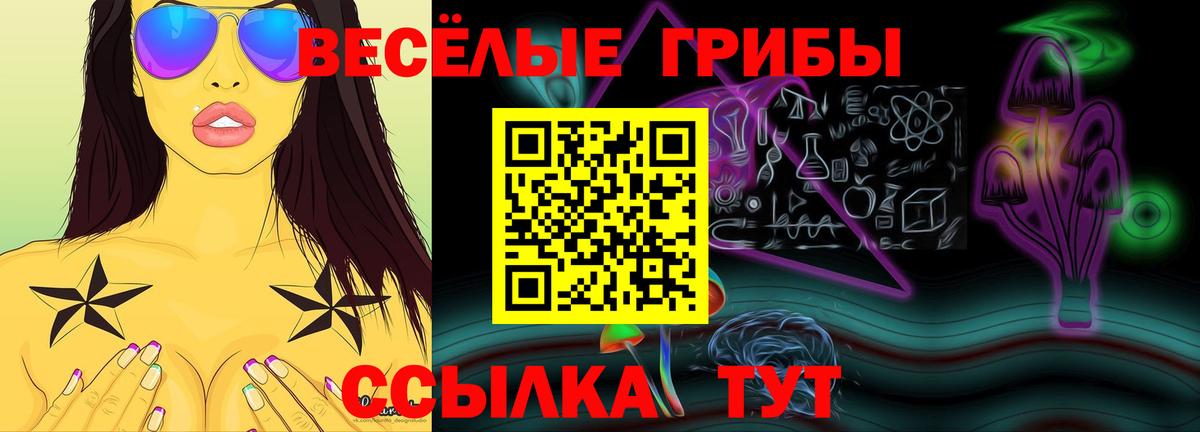 Галлюциногенные грибы ЛСД Печора