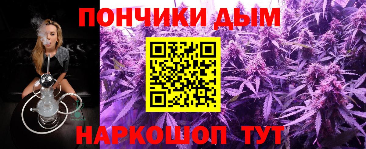 Бошки Шишки Amnesia Печора